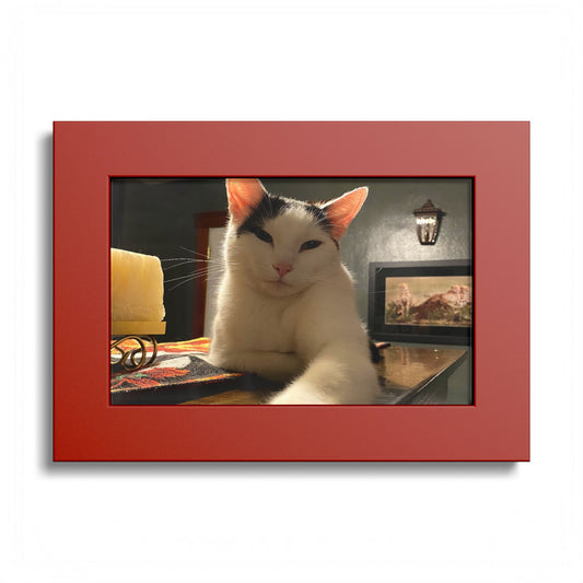 Personalized Custom Framed 5x7 Photo