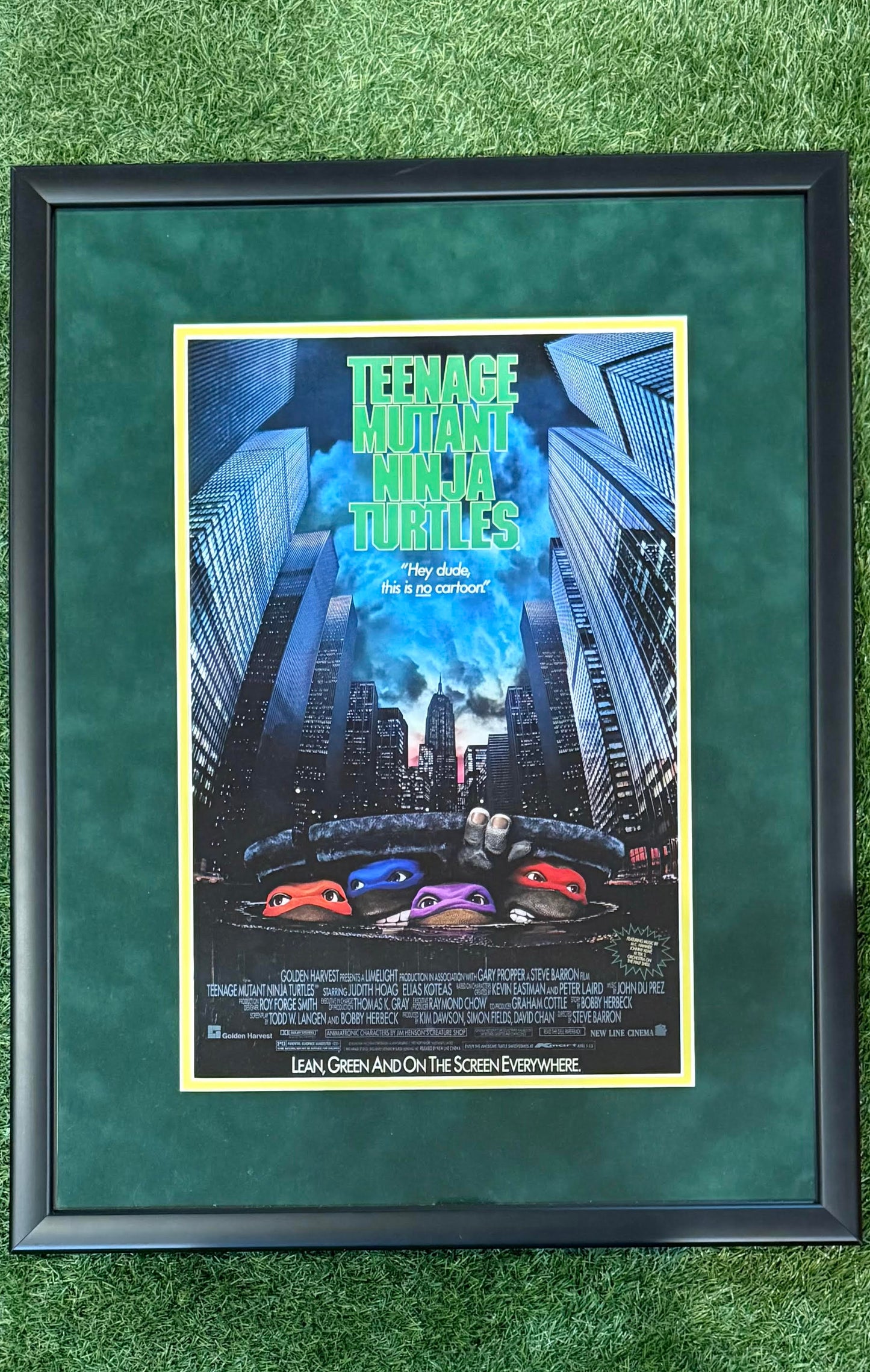 Teenage Mutant Ninja Turtles Movie Poster