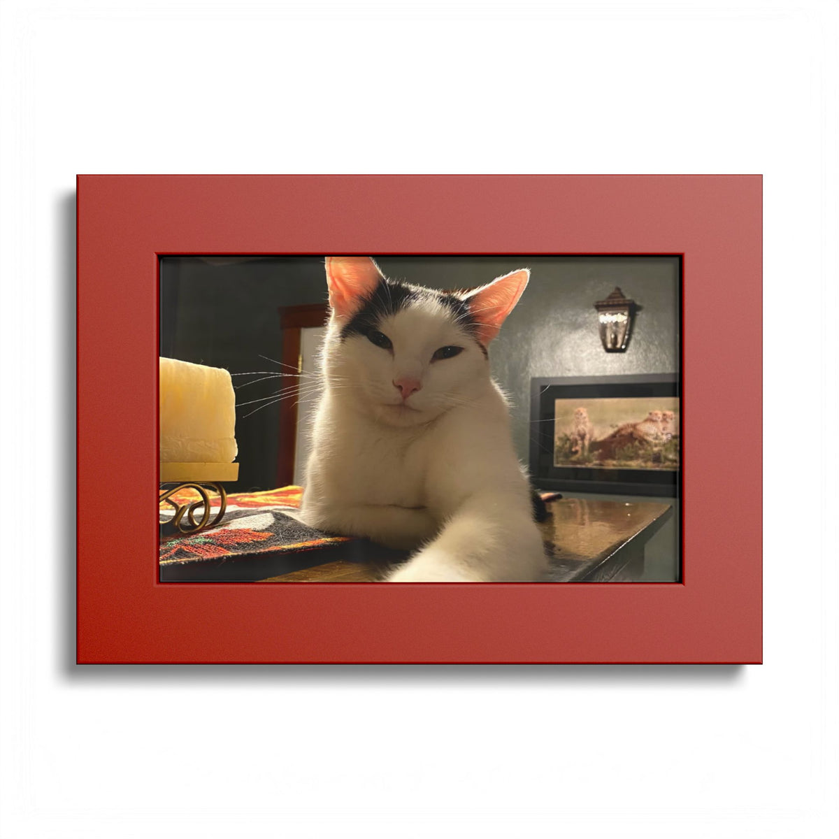 Personalized Custom Framed 5x7 Photo
